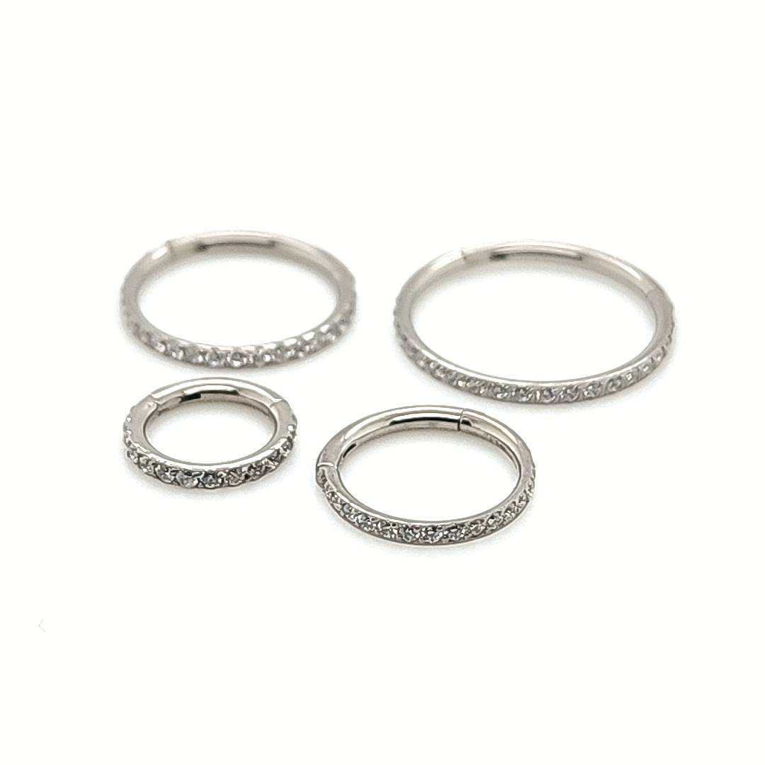 16g Hinged Segment Along The Side CZ Set F136 Eli Titanium