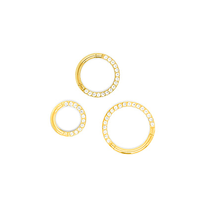 14K Gold- 16G See Front CZ Hinged Segment Hoop