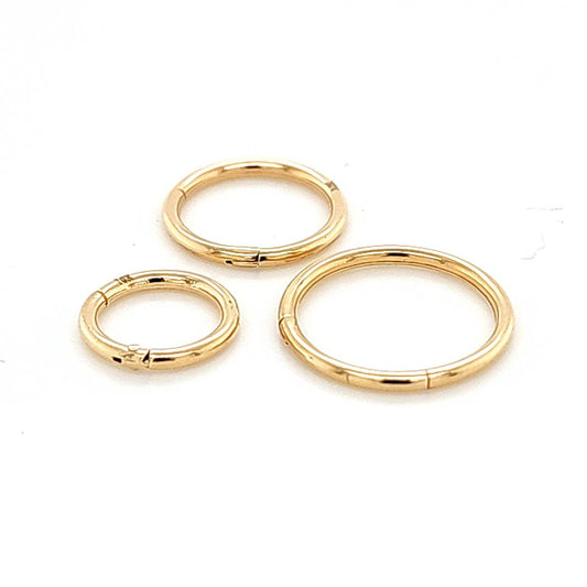 14K Gold- 16G Hinged Segment Hoop