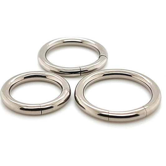 10G Segment Hoop - F136 Titanium