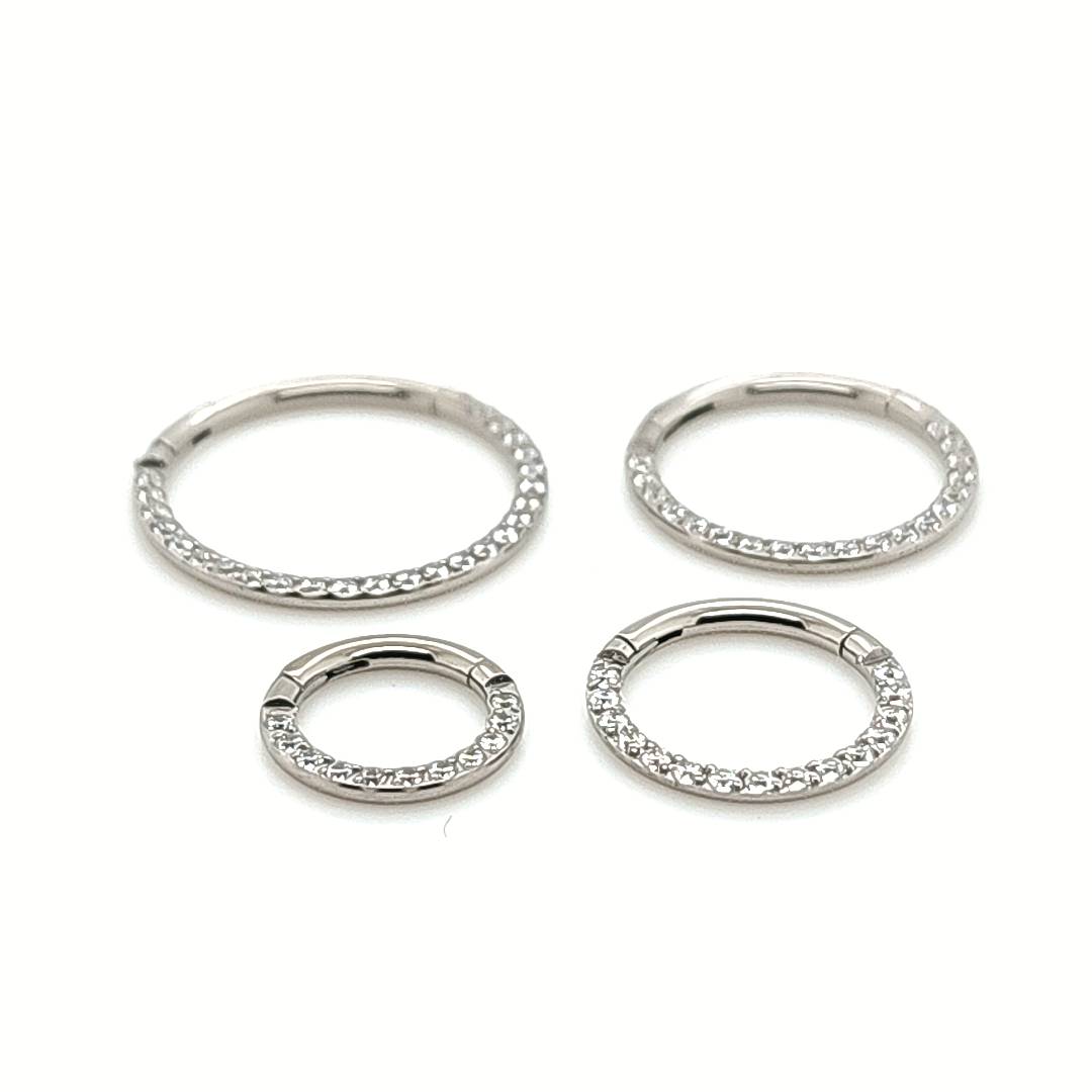 16g Hinged Segment See Front CZ Set-F136 Eli Titanium