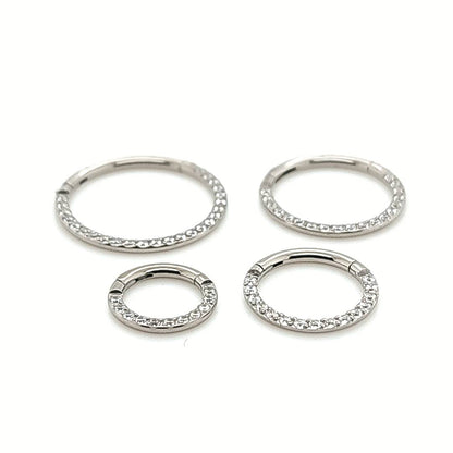 16g Hinged Segment See Front CZ Set-F136 Eli Titanium