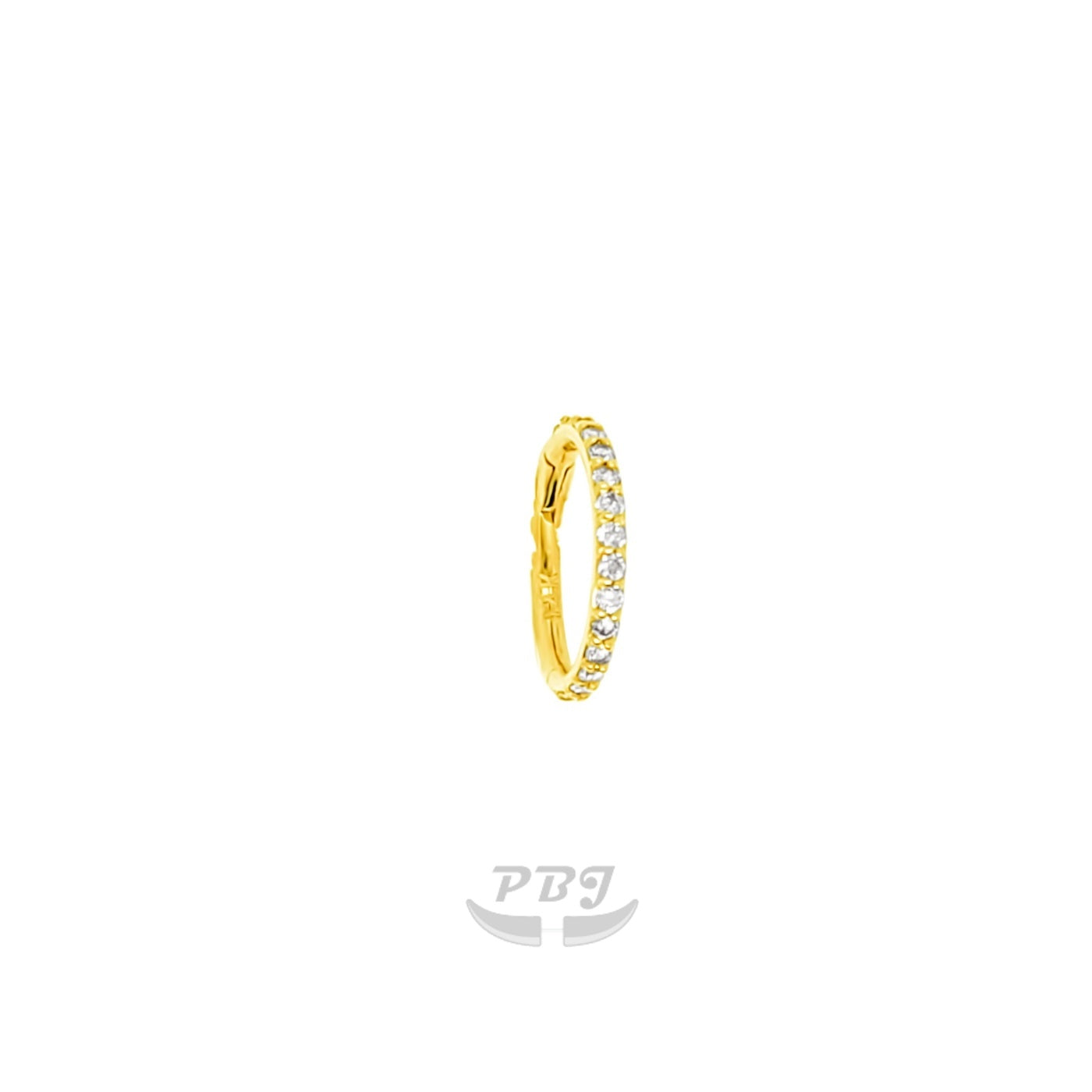 14K Gold- 16G Hinged Segment Side CZ Set